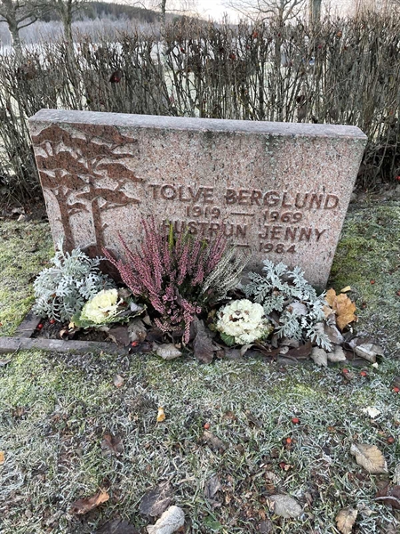 Hautatunnus: 3 H    95-96