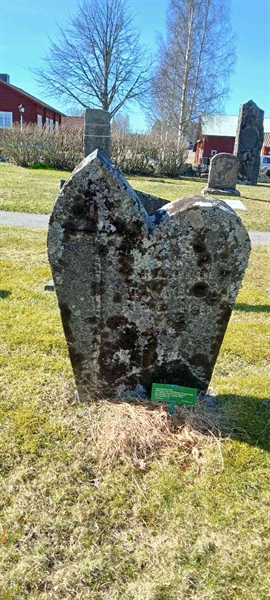 Hautatunnus: 3 Ga A    17