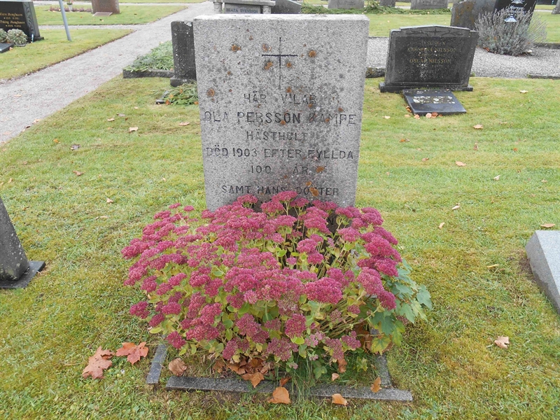Grave number: Vitt G03   49:A, 49:B