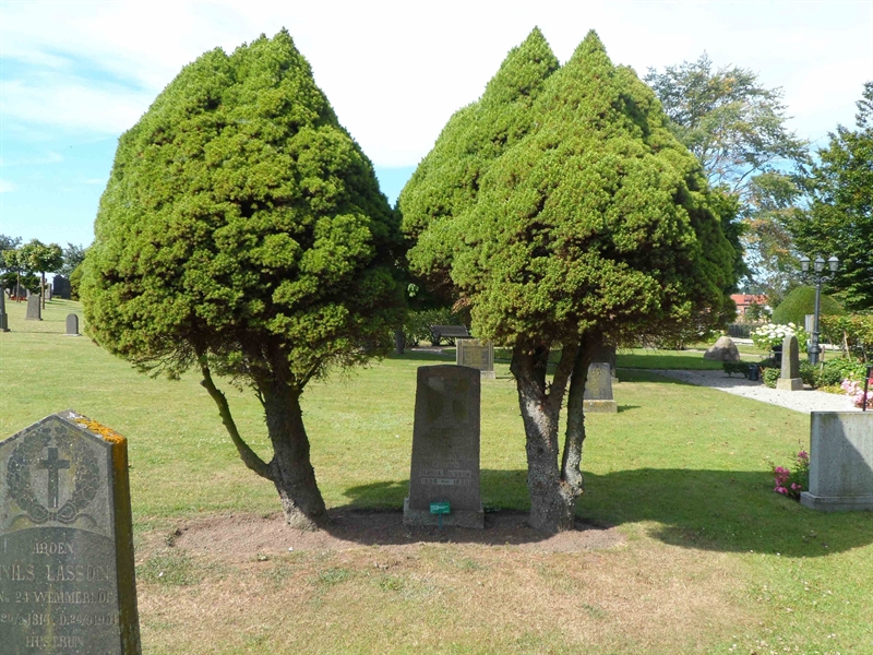 Grave number: ÖV B   149