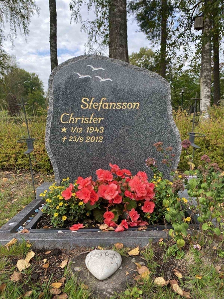 Grave number: 1 19    244