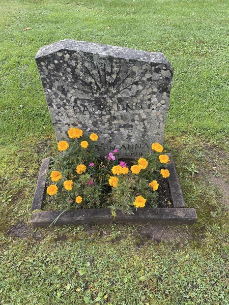 Grave number: 4 01   445