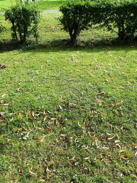 Gravnummer: GK F 4   330B