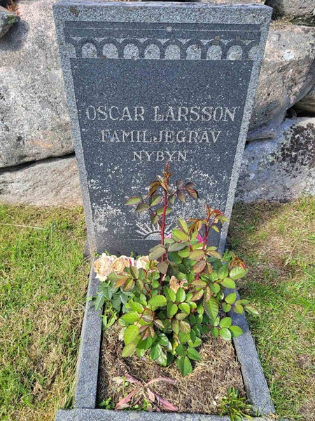 Grave number: 001 1   101