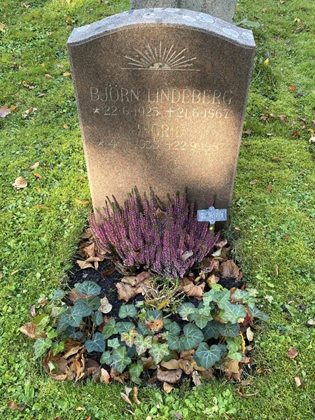 Gravnummer: 1 H   360