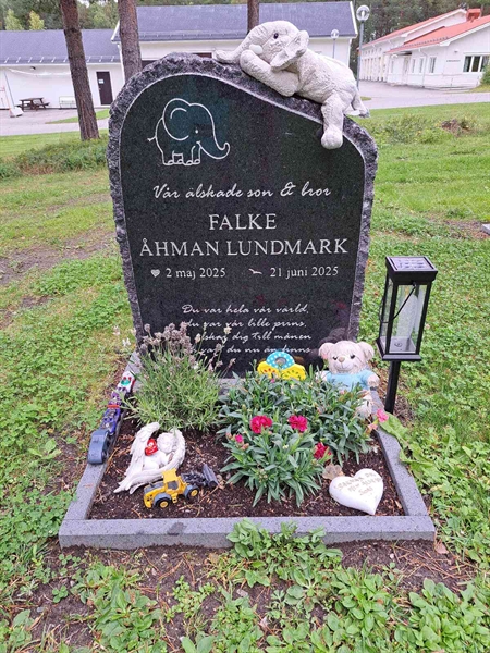 Grave number: 2 Q  2784