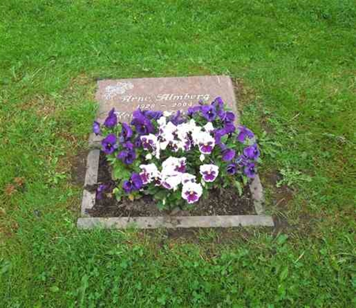 Grave number: SN U8    24