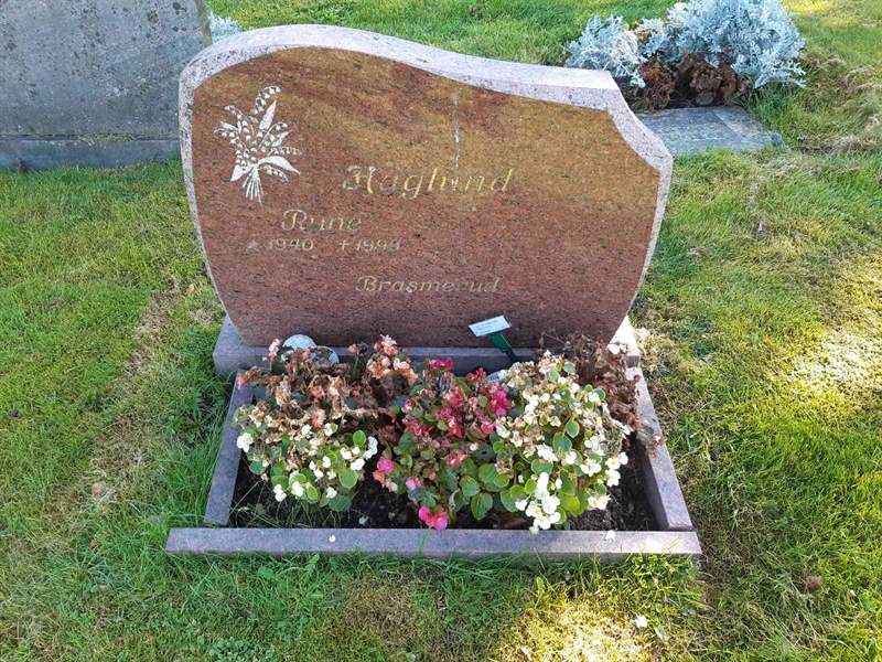 Hautatunnus: Fr 8   228-229