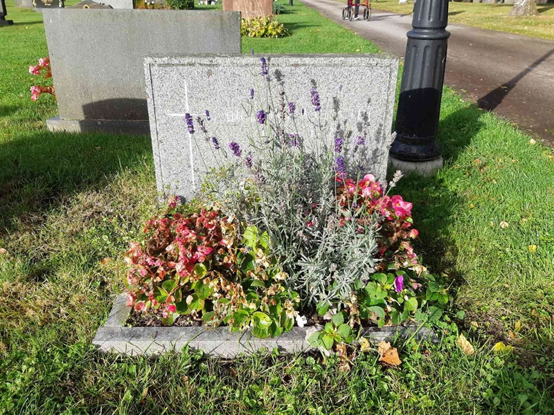 Hautatunnus: Fr 8   521