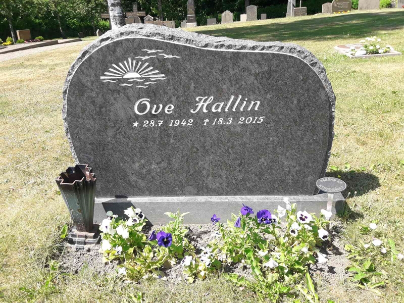 Grave number: TÖ 4   225