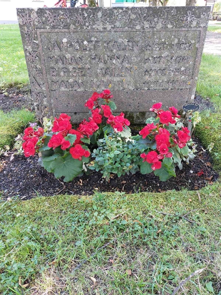 Gravnummer: 1 C   056