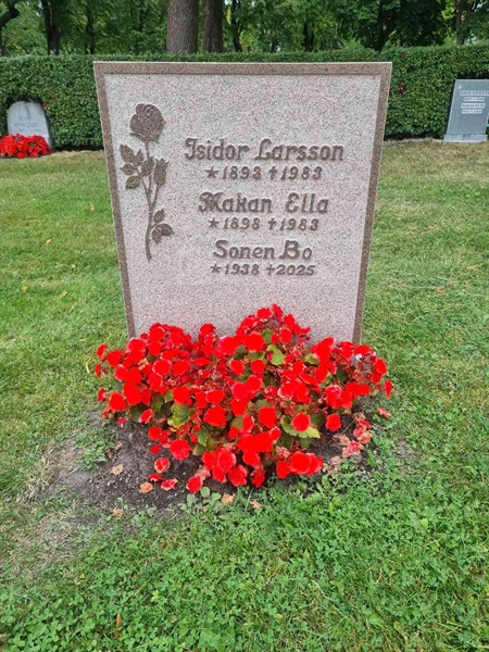 Grave number: 1 13  224, 225