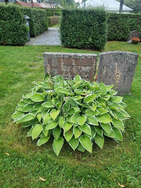 Grave number: 1 13  104