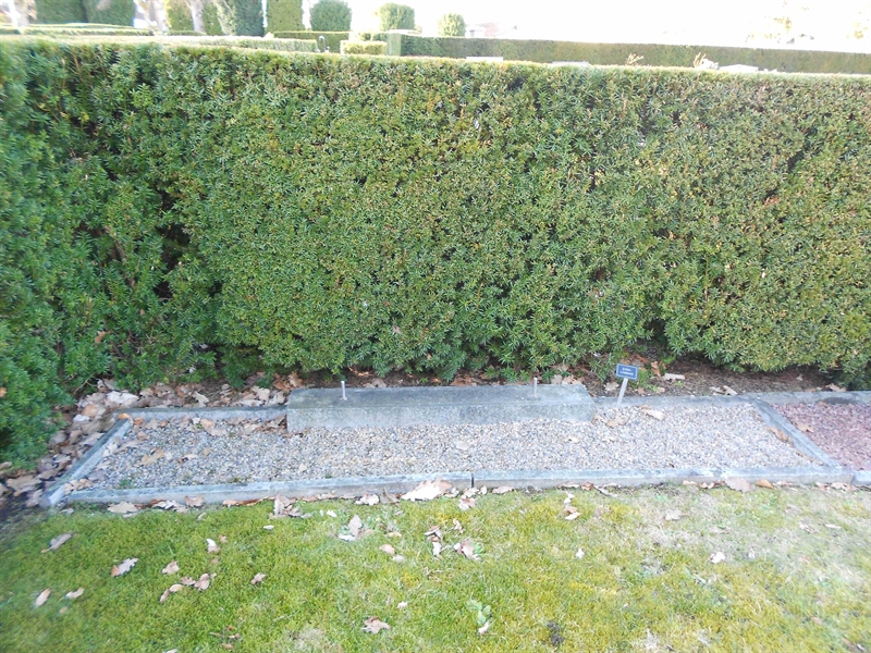Grave number: NÅ N6    39, 40
