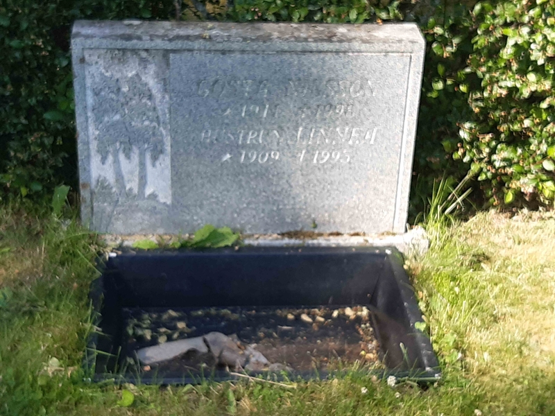 Grave number: VI 03   751