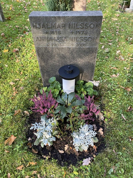 Hautatunnus: 1 H   454