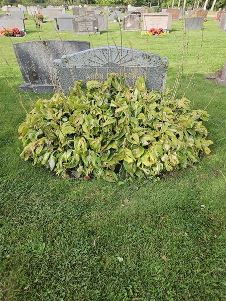 Hautatunnus: Fr 8   577-579