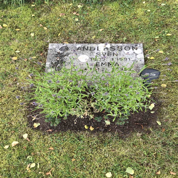 Grave number: 1 13    25B