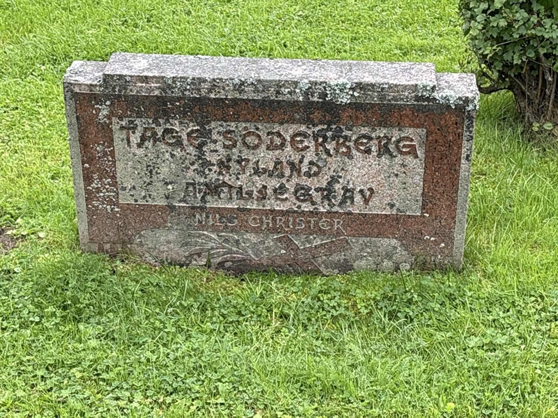 Grave number: IN 11   455