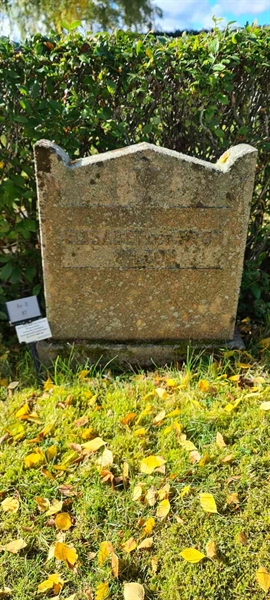 Grave number: M D   87