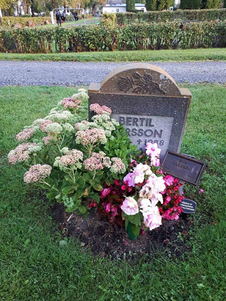 Hautatunnus: NK F D     3