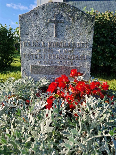 Hautatunnus: 451 01 29