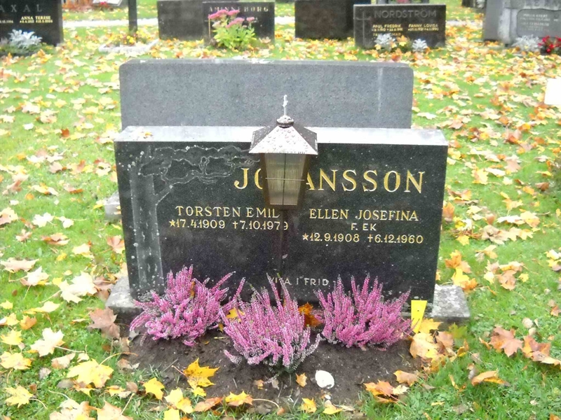 Grave number: 1 GA 02 111-113