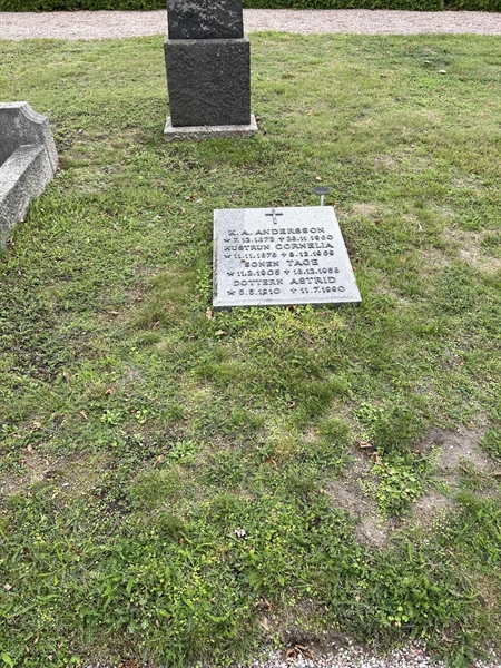 Grave number: VK I    50