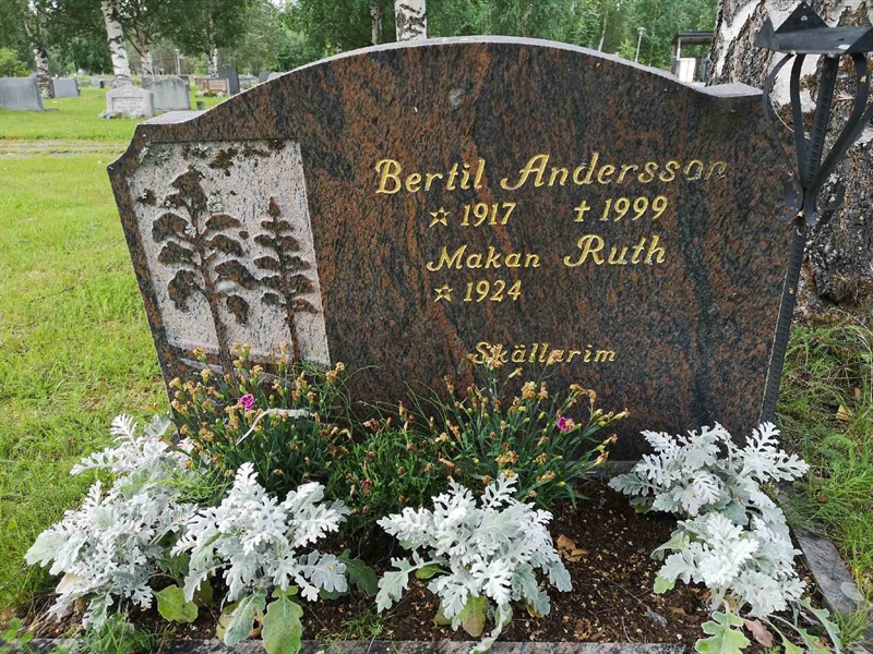 Hautatunnus: NK 17    27