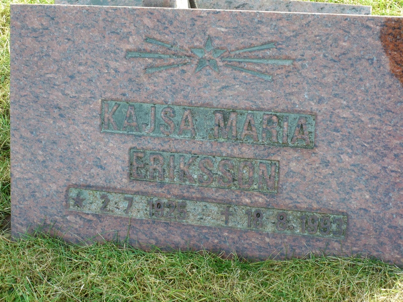 Grave number: HÖB NA06   113