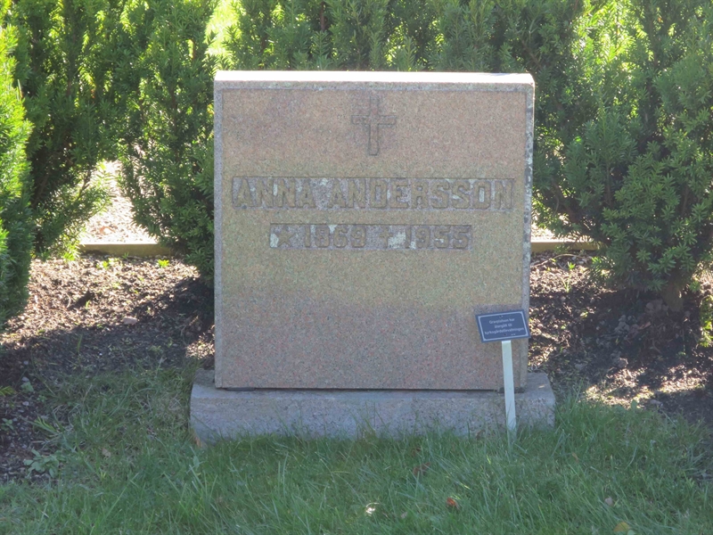 Grave number: HÖB 55    12