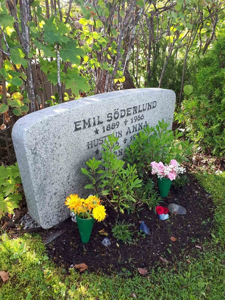 Hautatunnus: NK F B   204