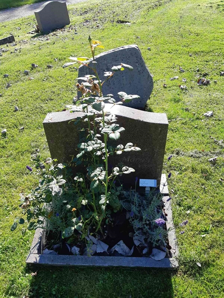 Hautatunnus: Fr 7   700