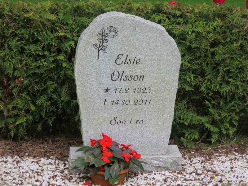 Grave number: HÖB 71    48