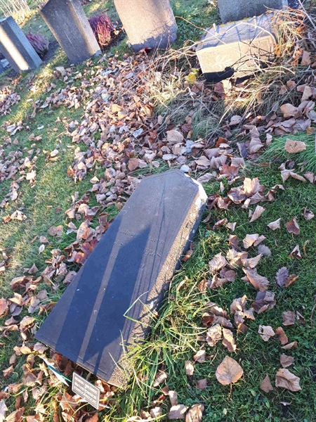 Gravnummer: GK F 3   319