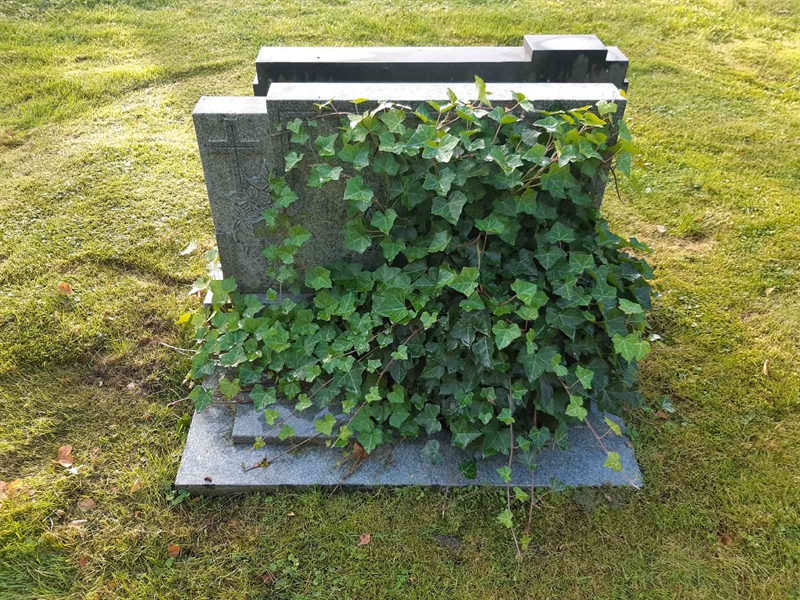 Gravnummer: Fr 7   197-198