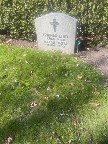 Grave number: 1 3 F1 264