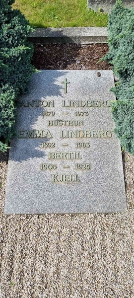 Grave number: LM 3 51  016