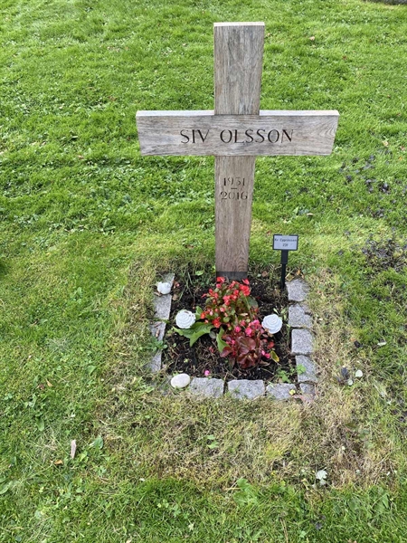 Gravnummer: 2 C   231