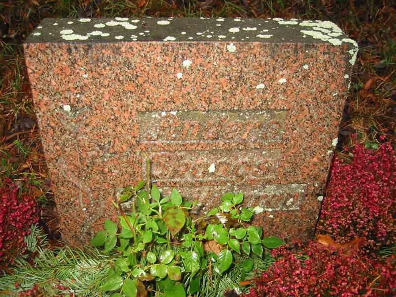 Grave number: KV 8    37-38