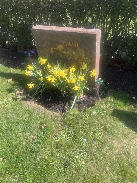 Grave number: 1 3 F1 279