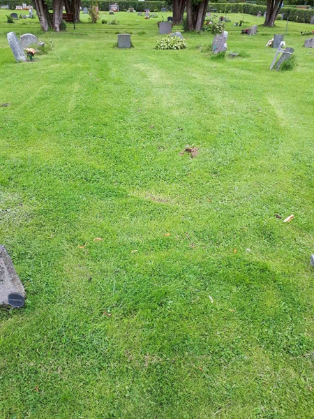 Gravnummer: NK A A    15