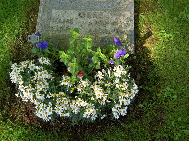 Grave number: 1 I   16
