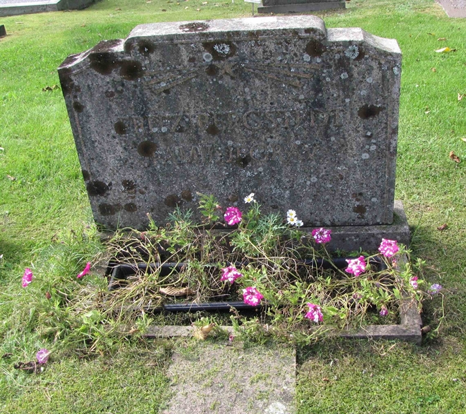 Grave number: HG DUVAN   432