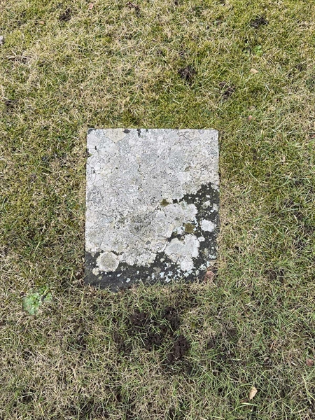 Hautatunnus: HA L    36