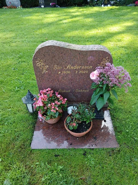 Grave number: ÖB 29    18
