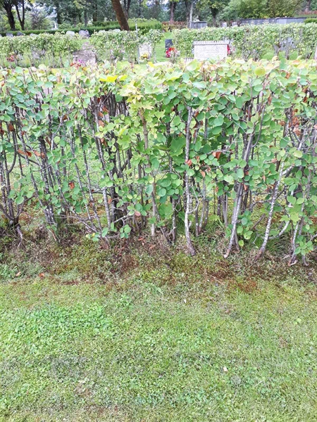 Grave number: NK F A   166