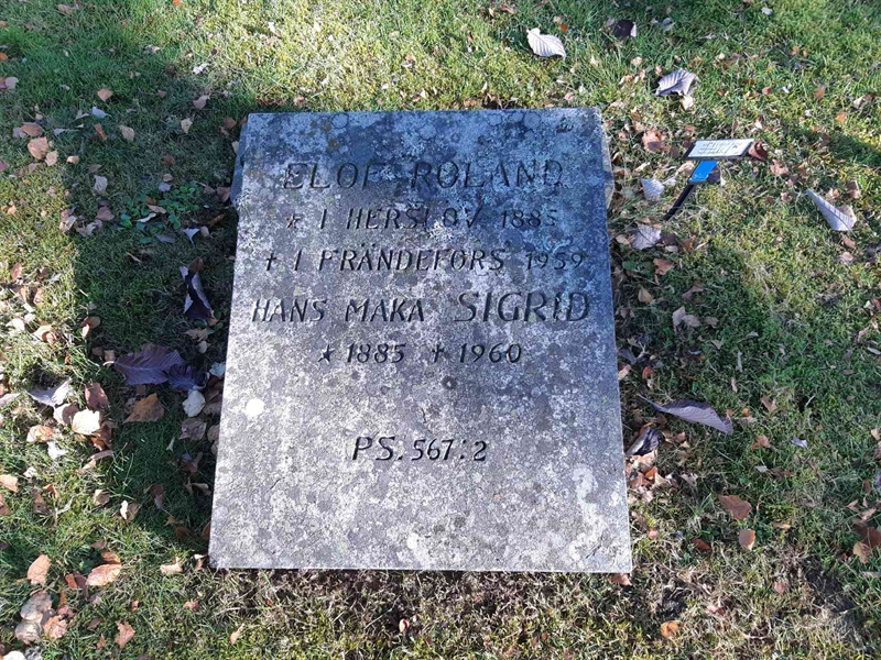 Grave number: Fr 7  1011-1012
