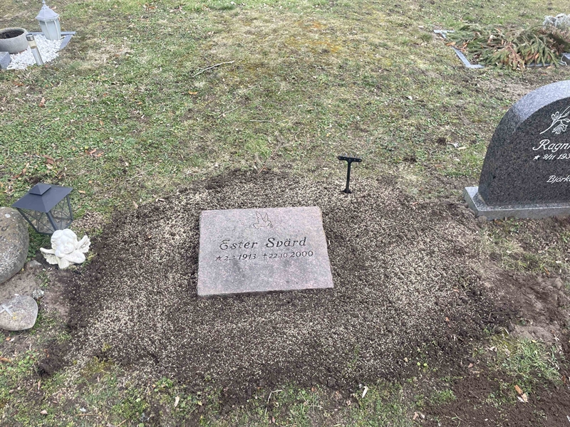 Hautatunnus: VV 1   370