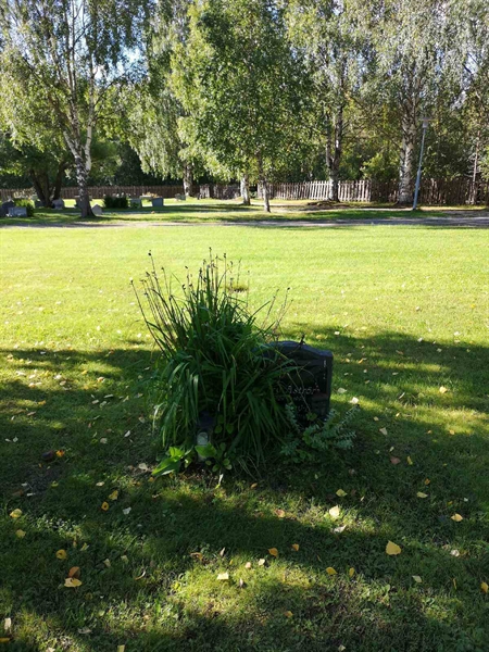 Hautatunnus: NK 18    49